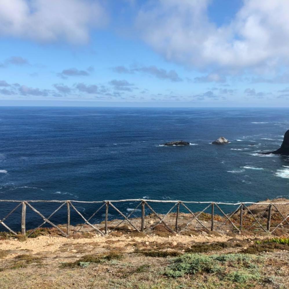 Meet your Posher, Sebastian